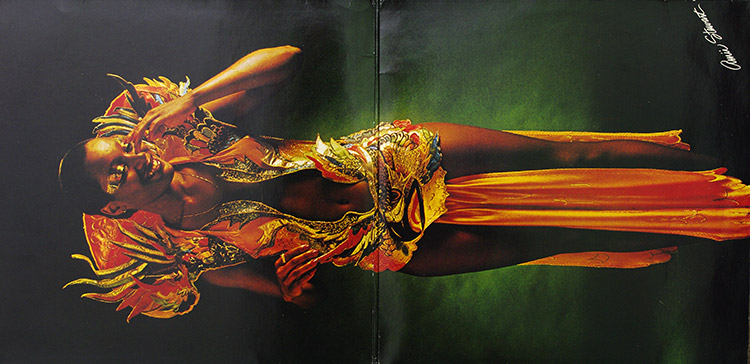 AMII STEWART Paradise Bird в продаже AMII STEWART Paradise Bird в продаже
